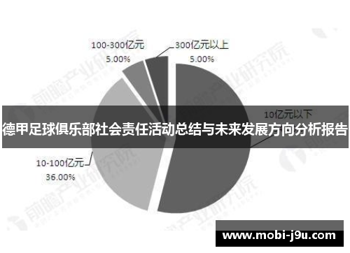 德甲足球俱乐部社会责任活动总结与未来发展方向分析报告