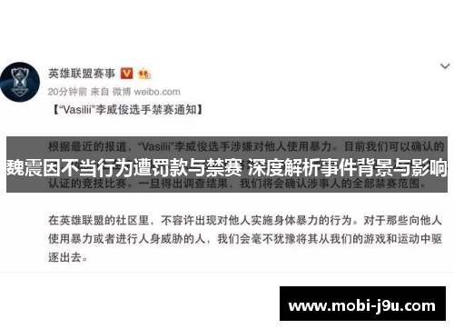 魏震因不当行为遭罚款与禁赛 深度解析事件背景与影响