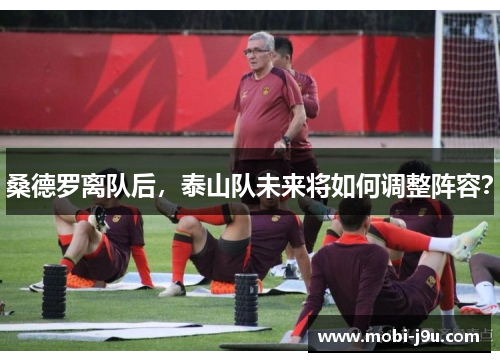 桑德罗离队后，泰山队未来将如何调整阵容？