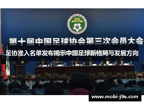 足协准入名单发布揭示中国足球新格局与发展方向