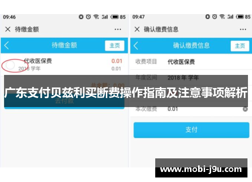 广东支付贝兹利买断费操作指南及注意事项解析