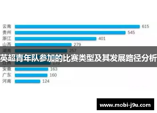 英超青年队参加的比赛类型及其发展路径分析