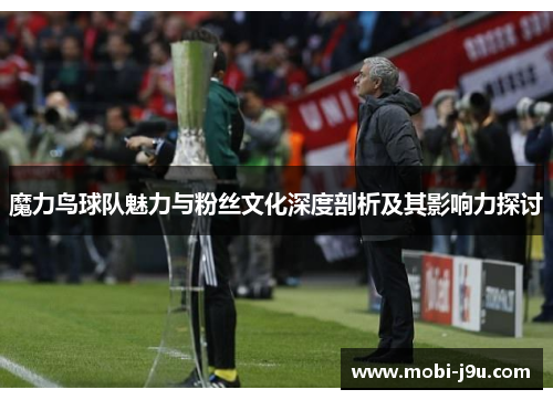 魔力鸟球队魅力与粉丝文化深度剖析及其影响力探讨